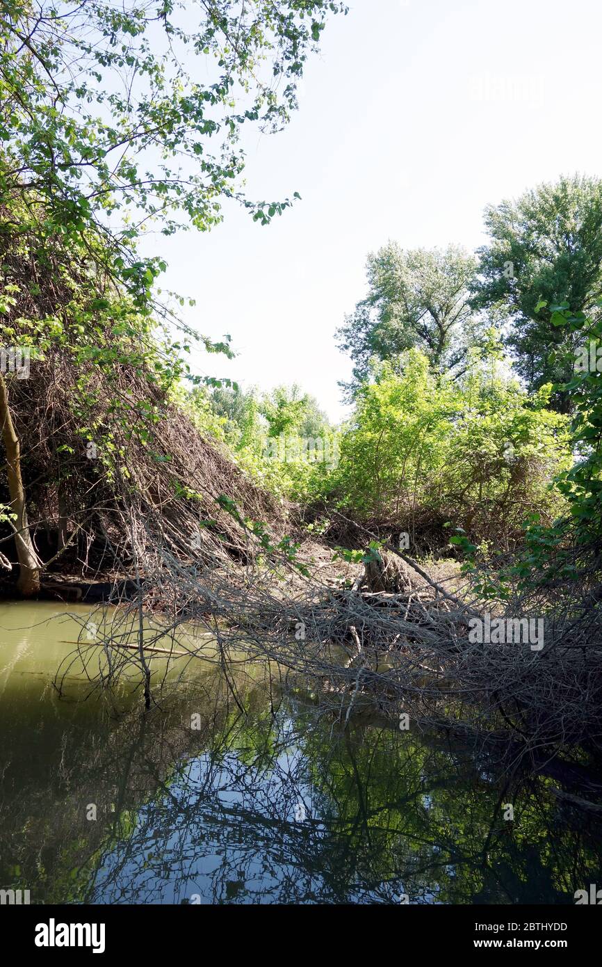 Calarasi Romania High Resolution Stock Photography and Images - Alamy