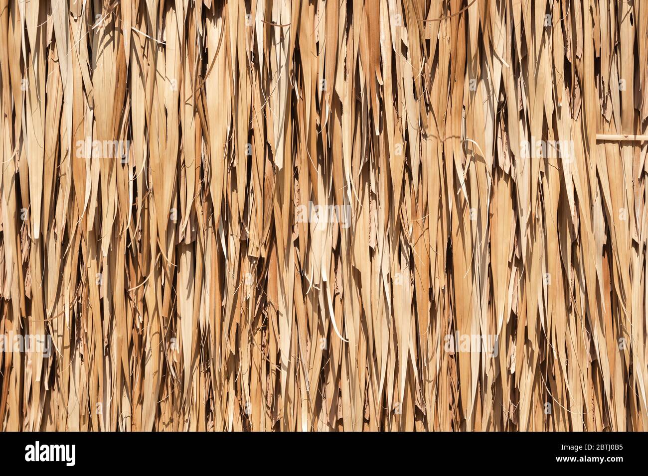 Texture of dried coconut leaves that overlap pile. Abstract background