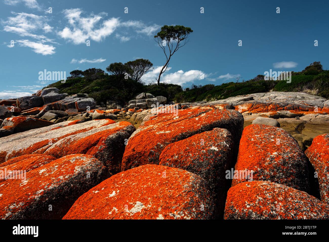 Famous red lichen-covered rocks at Binalong Bay. Stock Photo