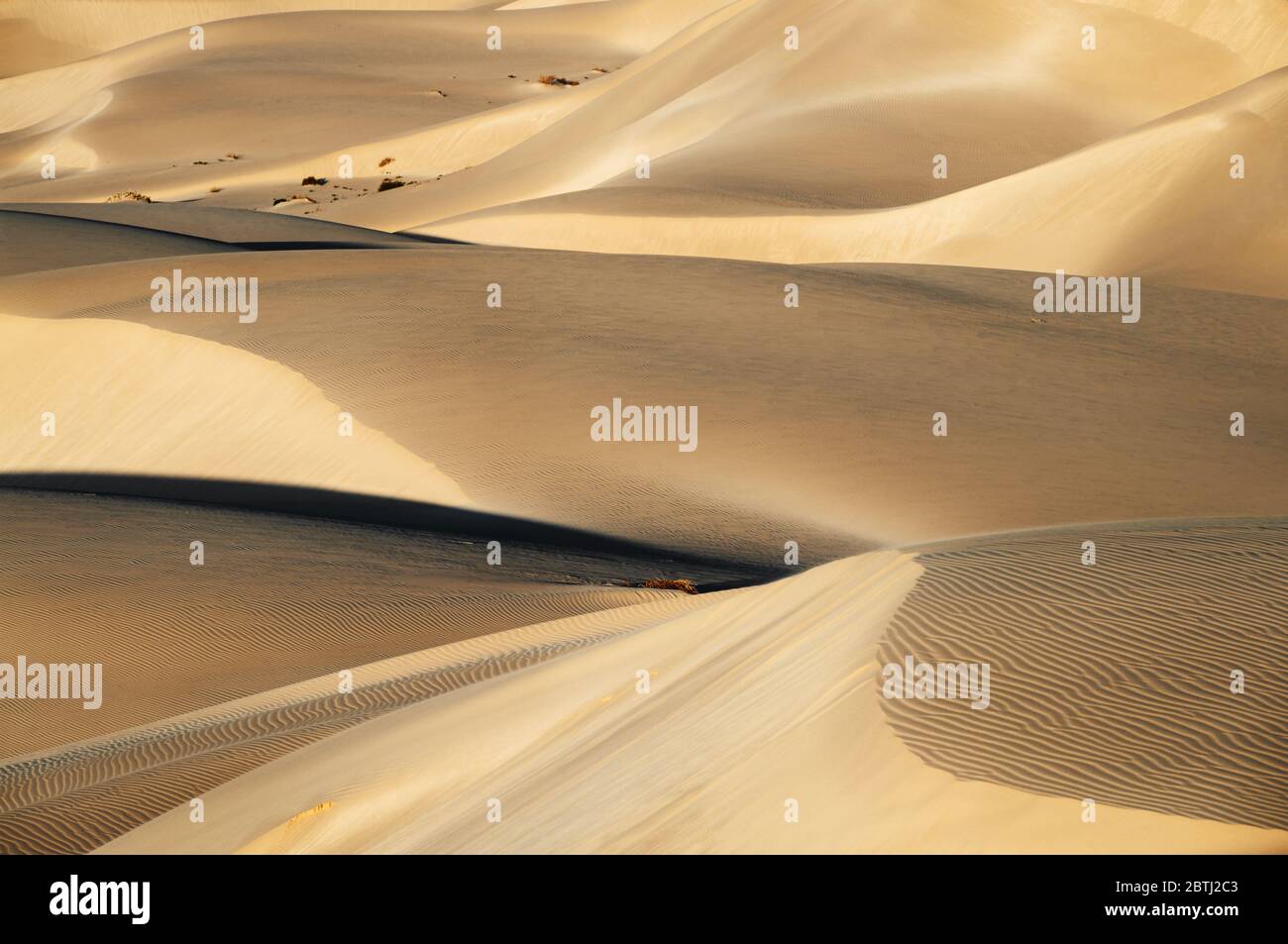 Sand dunes in Eucla are like natural art. Stock Photo