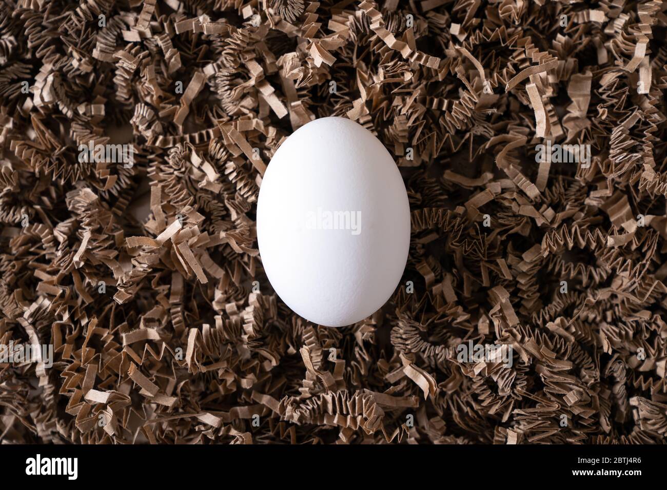 One white chicken eggs on nest Stock Photo - Alamy