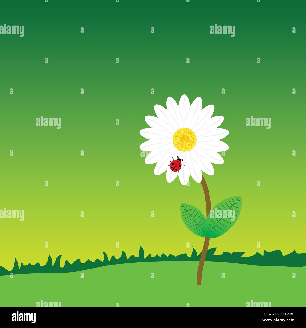 flower with ladybug in the nature color vector illustration Stock ...
