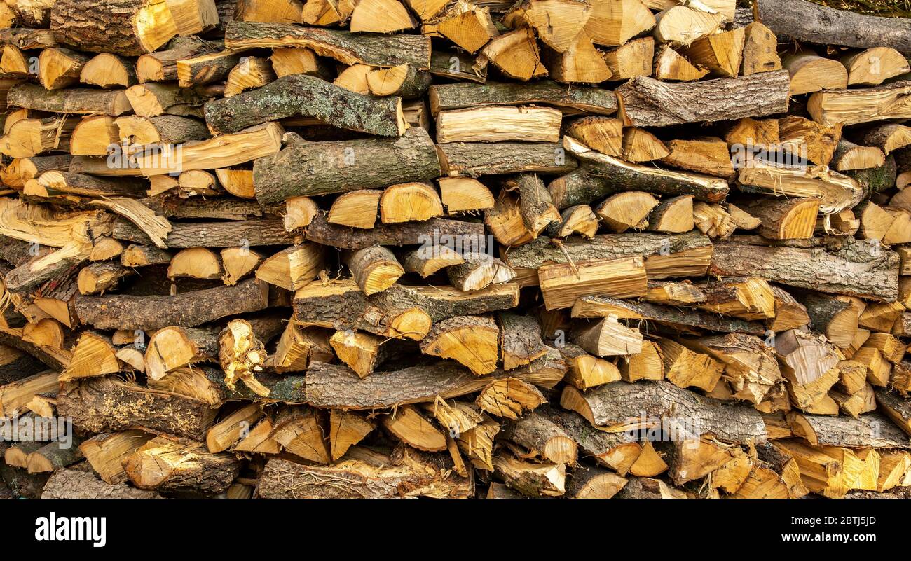 English oak logs split ready for burning on a wood burner or open fire