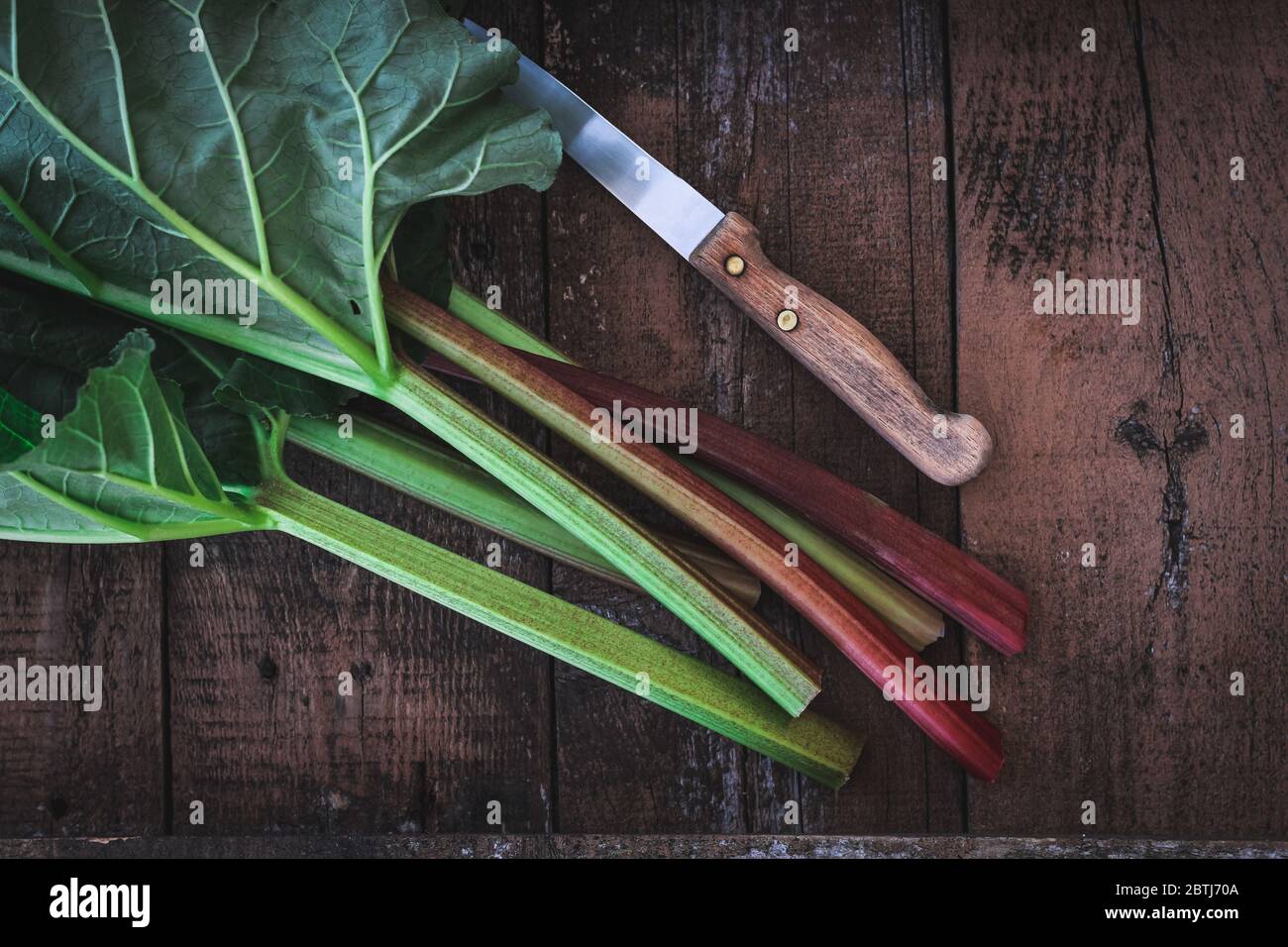 Freshly cut rhubarb stems and a knife on a wooden garden table Stock Photo