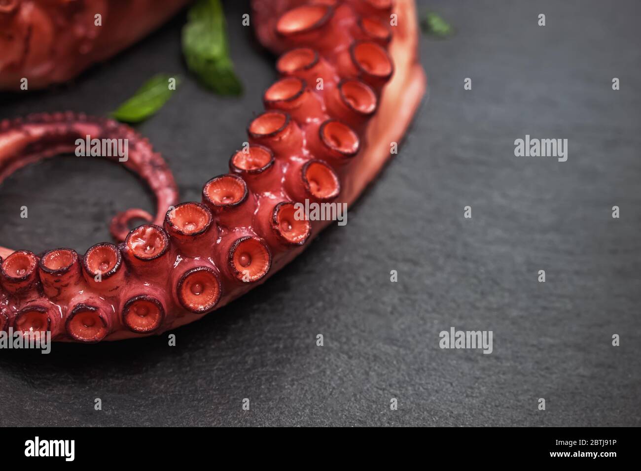 Octopus tentacle hi-res stock photography and images - Alamy