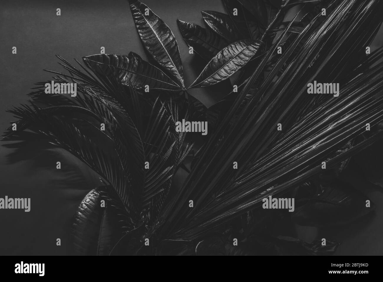 Abstract Background Composition Of Painted In Black Tropical Leaves And Flowers On Grey Background With Copy Space Stock Photo Alamy Download and share awesome cool background hd mobile phone wallpapers. alamy