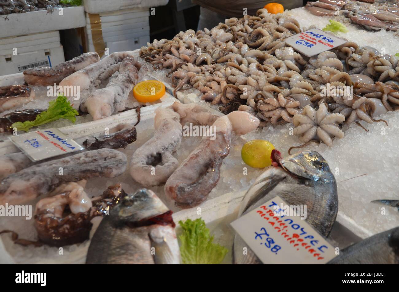 A stall that selling various kind of fishes and seafood at Athens market. Stock Photo