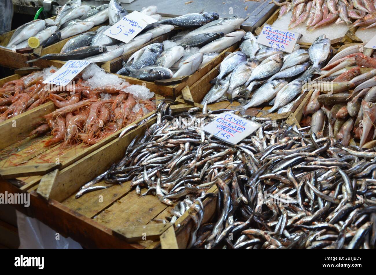 A stall that selling various kind of fishes and seafood at Athens market. Stock Photo