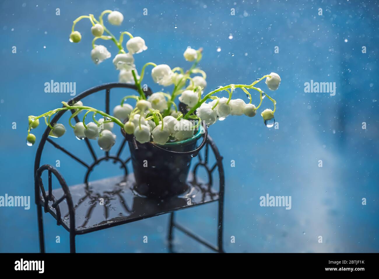 bouquet of lilies of the valley in a bucket with reflection in water