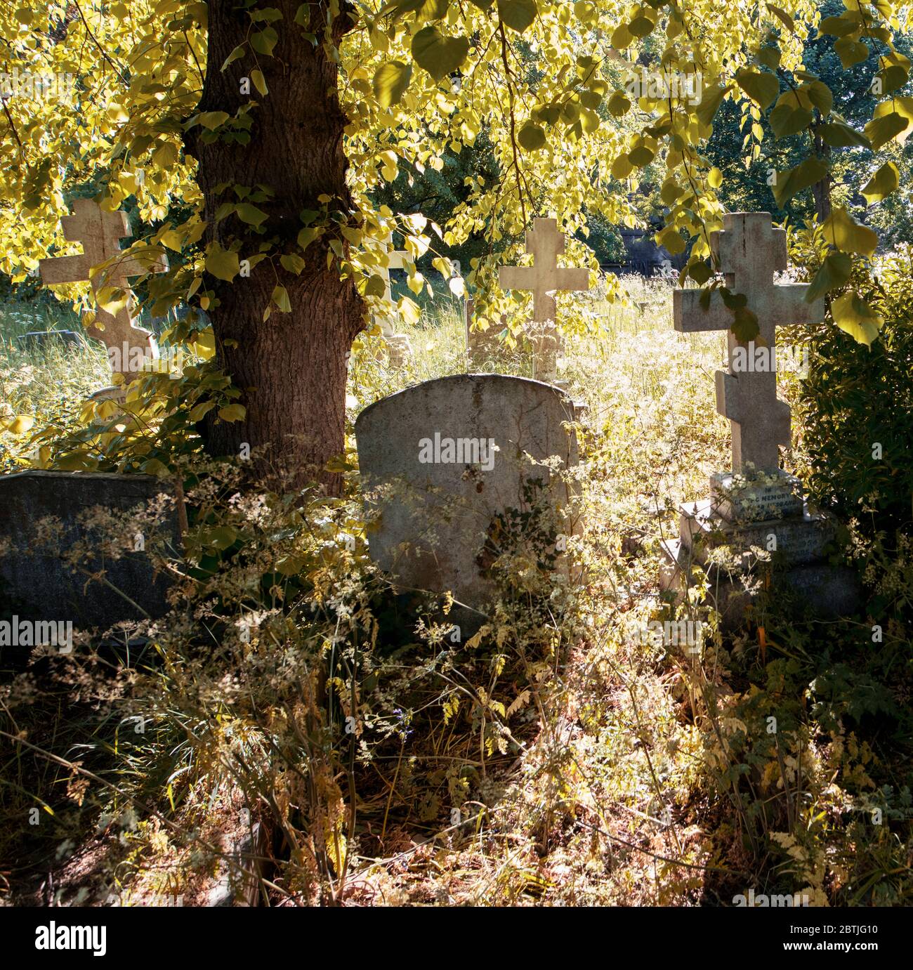 Brompton Cemetery, Kensington, London; one of the Magnificent Seven