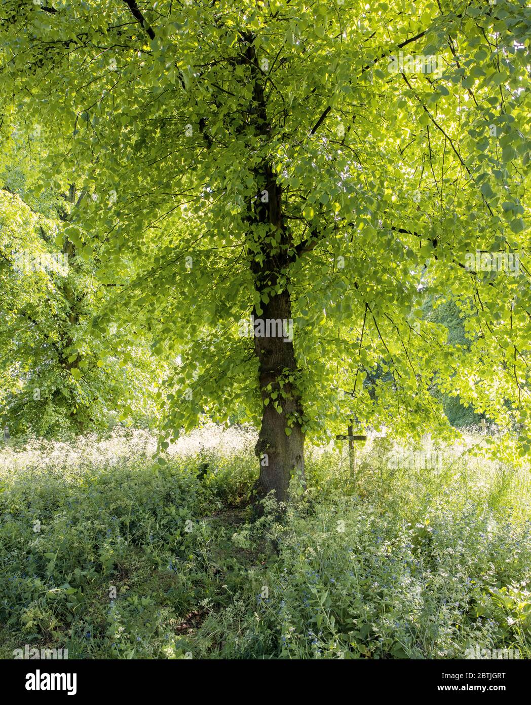 High Resolution Stock Photography And Images Alamy High Resolution Stock Photography And Images Alamy