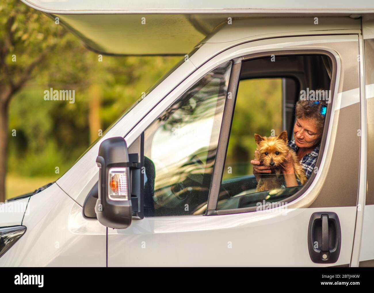 Retired Woman Traveling With Her Australian Silky Terrier Dog Pet Inside Camper Van Motorhome. Vacation on the Road. Stock Photo