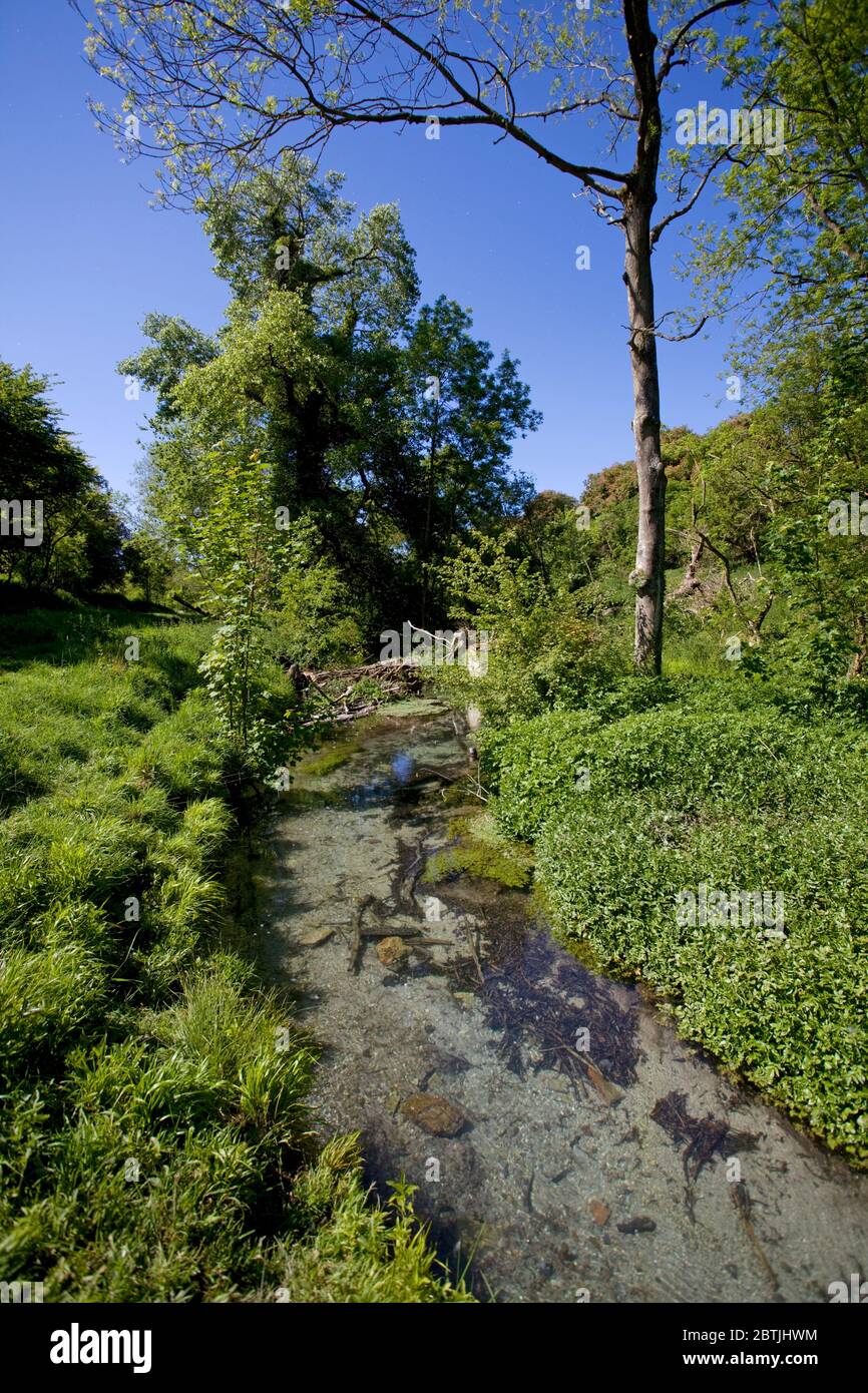 Chalk stream england hires stock photography and images Alamy