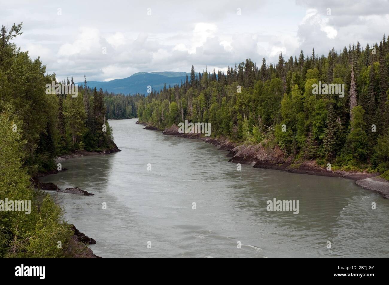 The Nass River Valley, boreal forest and Skeena Mountains, seen from the Stewart Cassiar Highway, in northern British Columbia, Canada. Stock Photo