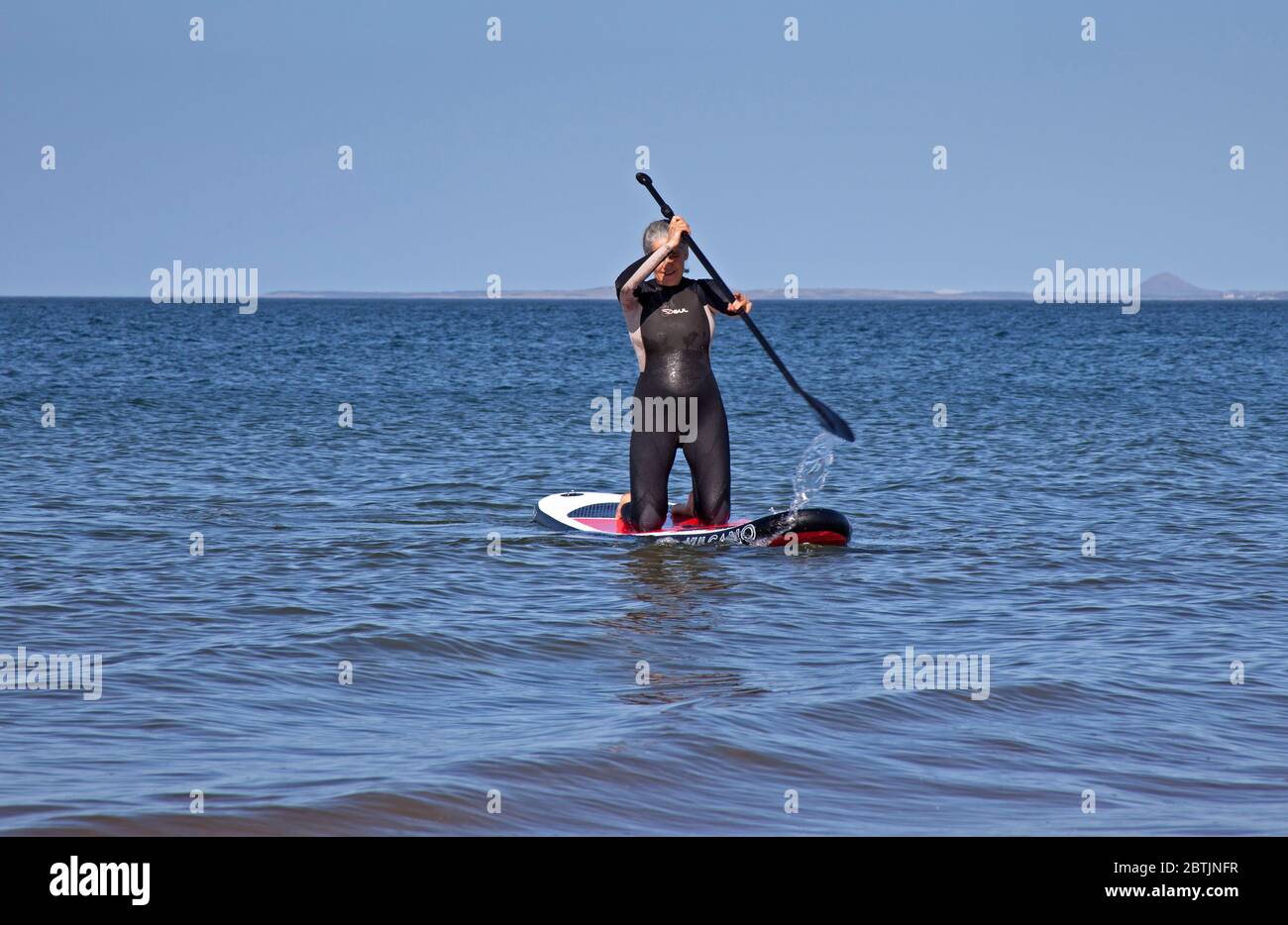 Portobello, Edinburgh, Scotland, UK. 26 May 2020. More relaxed atmosphere at the seaside late afternoon as Scotland nears the end of Phase 1 of Coronavirus Lockdown. Temperature of 19 degrees and sunny. Pictured the Harrison family, mum enjoys kneeling  on her stand up paddle board. Stock Photo