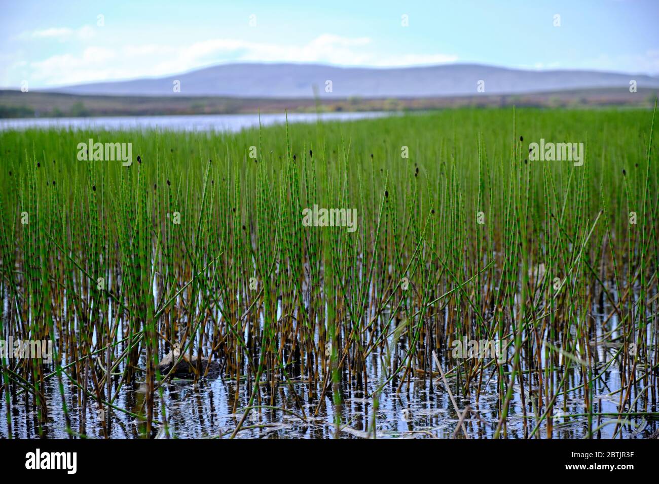 Ni Tourism Hi res Stock Photography And Images Alamy