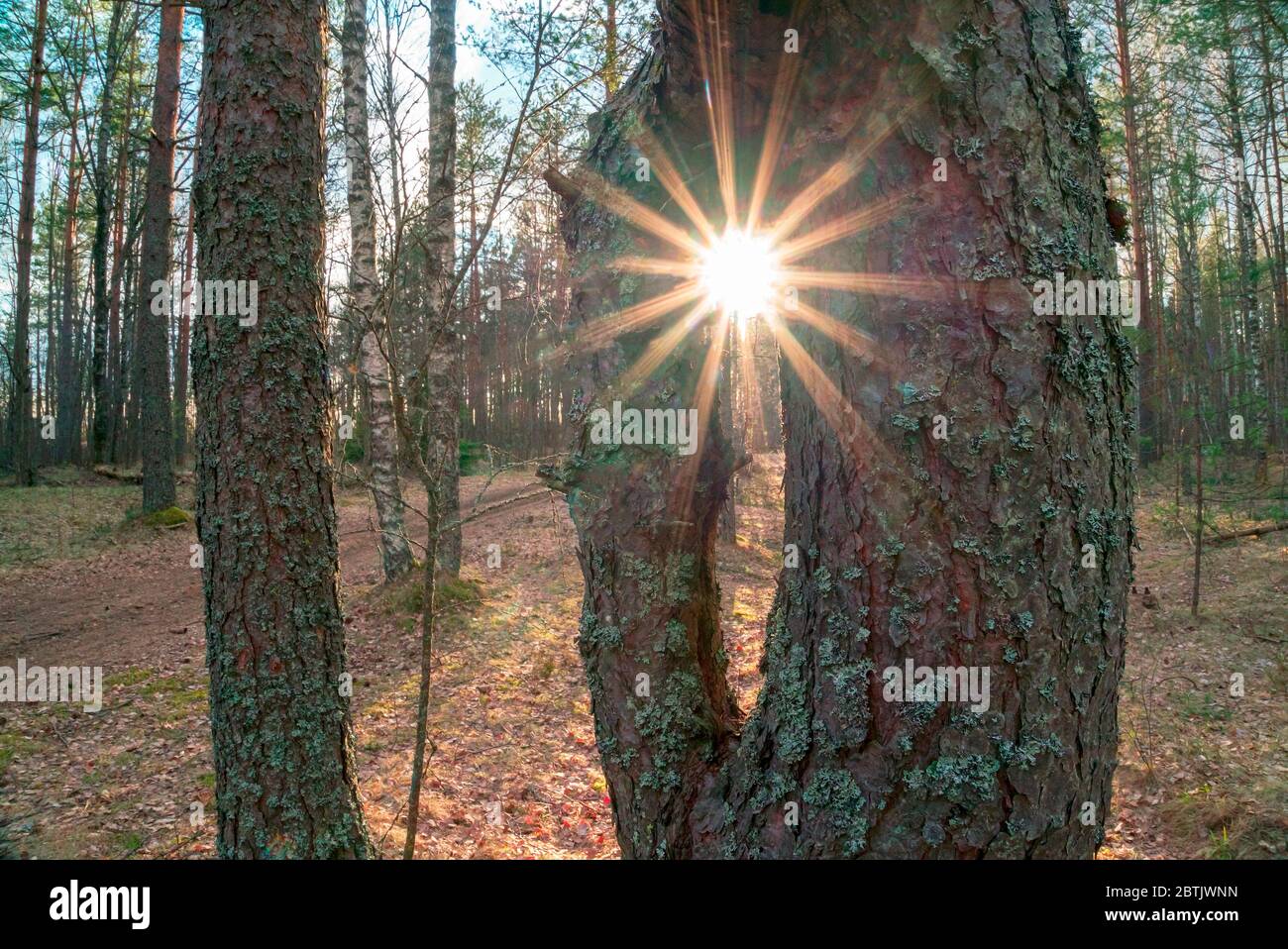 Radiant sun rays hi-res stock photography and images - Alamy
