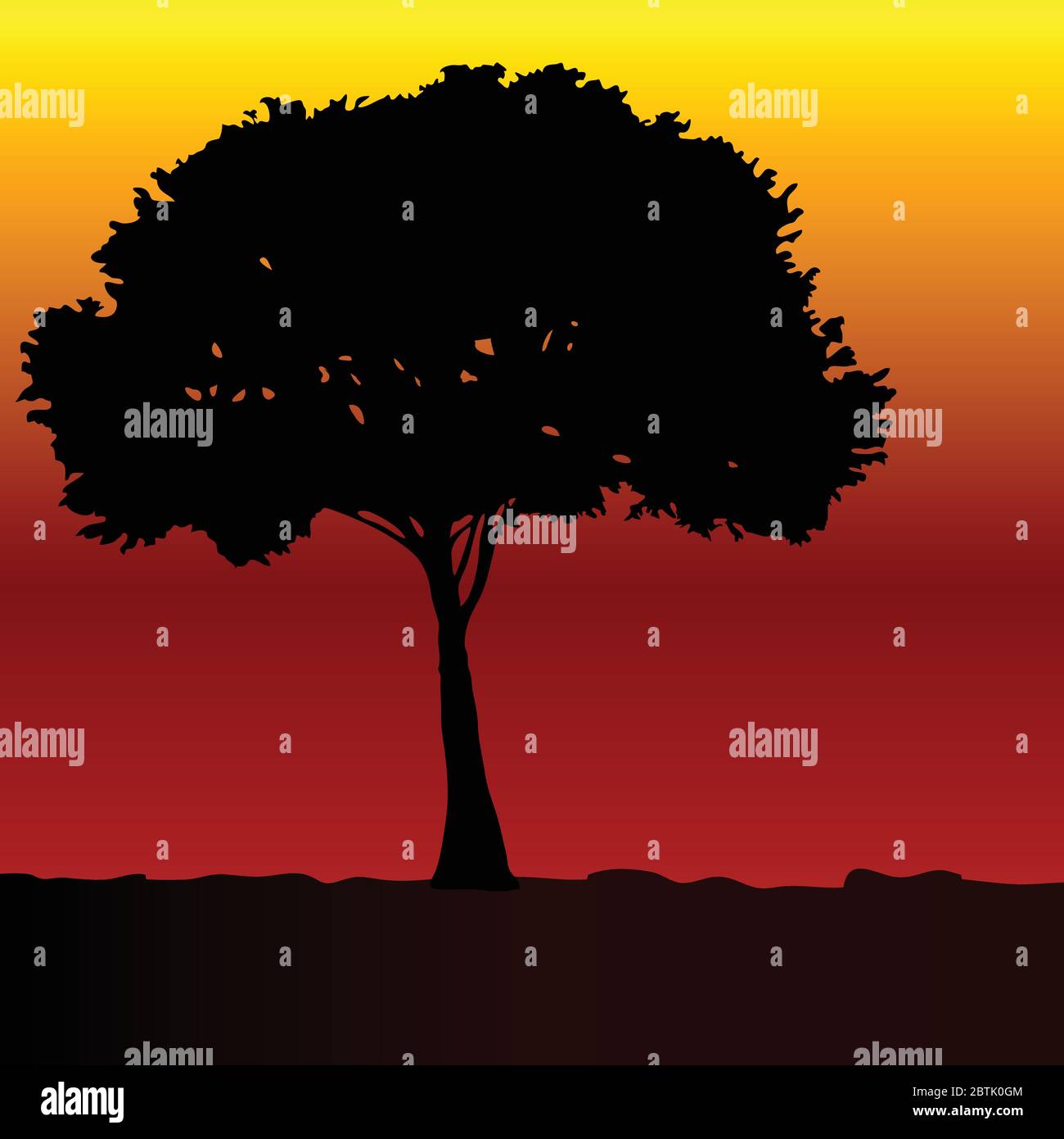 tree black vector silhouette on color sunset background Stock Vector ...