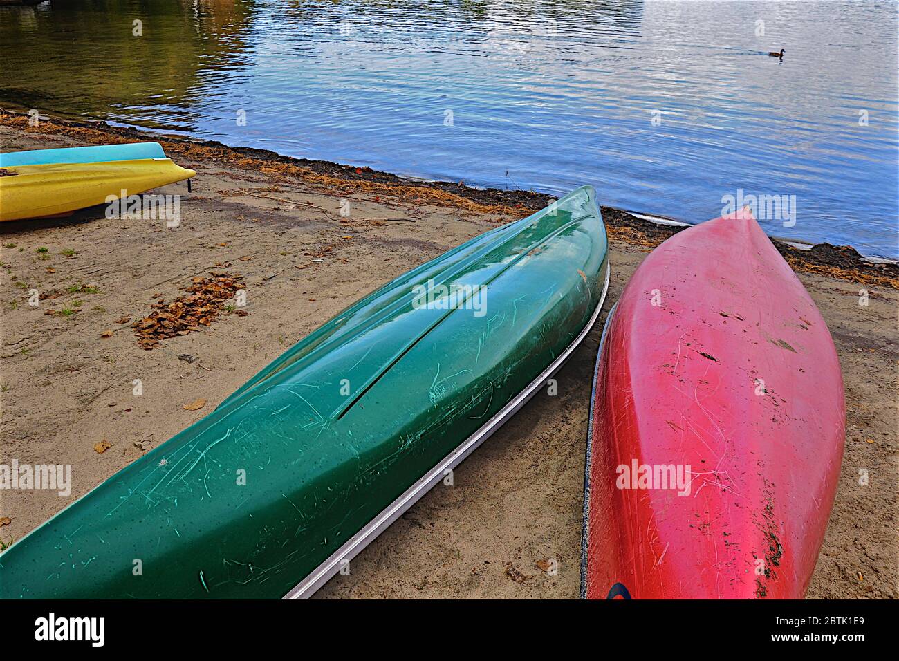 Colorful canoe lying on the beach in Lake Muskoka Stock Photo Alamy
