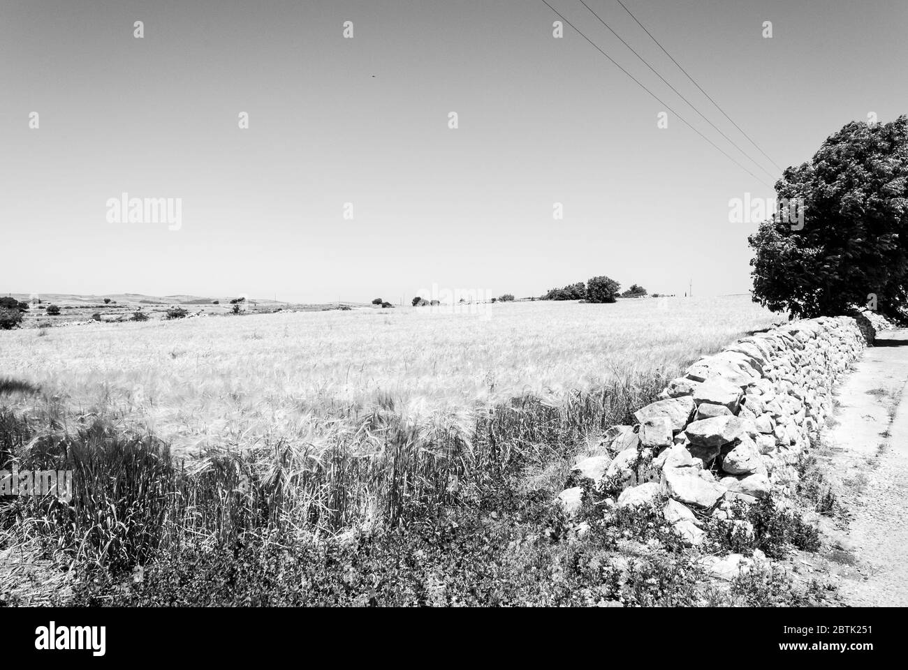 Rural landscape of the countryside of South Eastern Sicily in full spring, dry stone walls, olive and carob trees and hay bales. Stock Photo