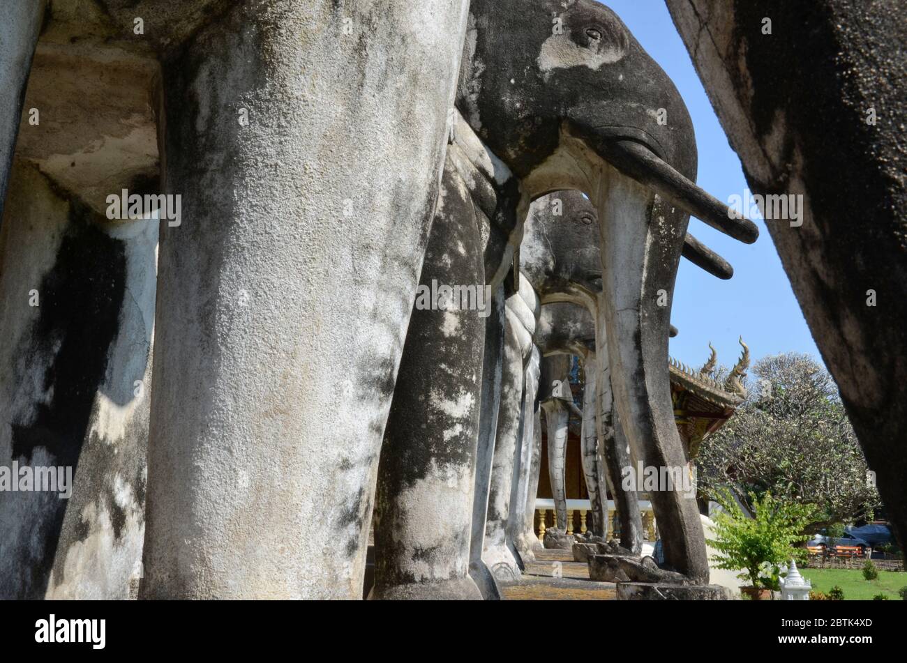 Elephants are sitting at the bottom of the old chedi of Wat Chiang Man in Chiang Mai Stock Photo