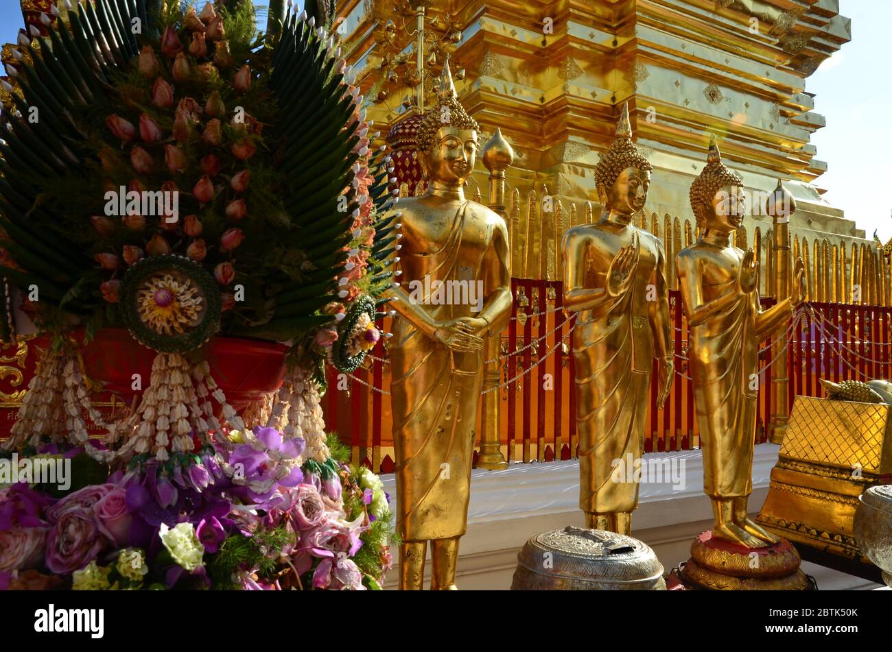 Standing Buddha statues at Wat Phra That Doi Suthep in Chiang Mai ...