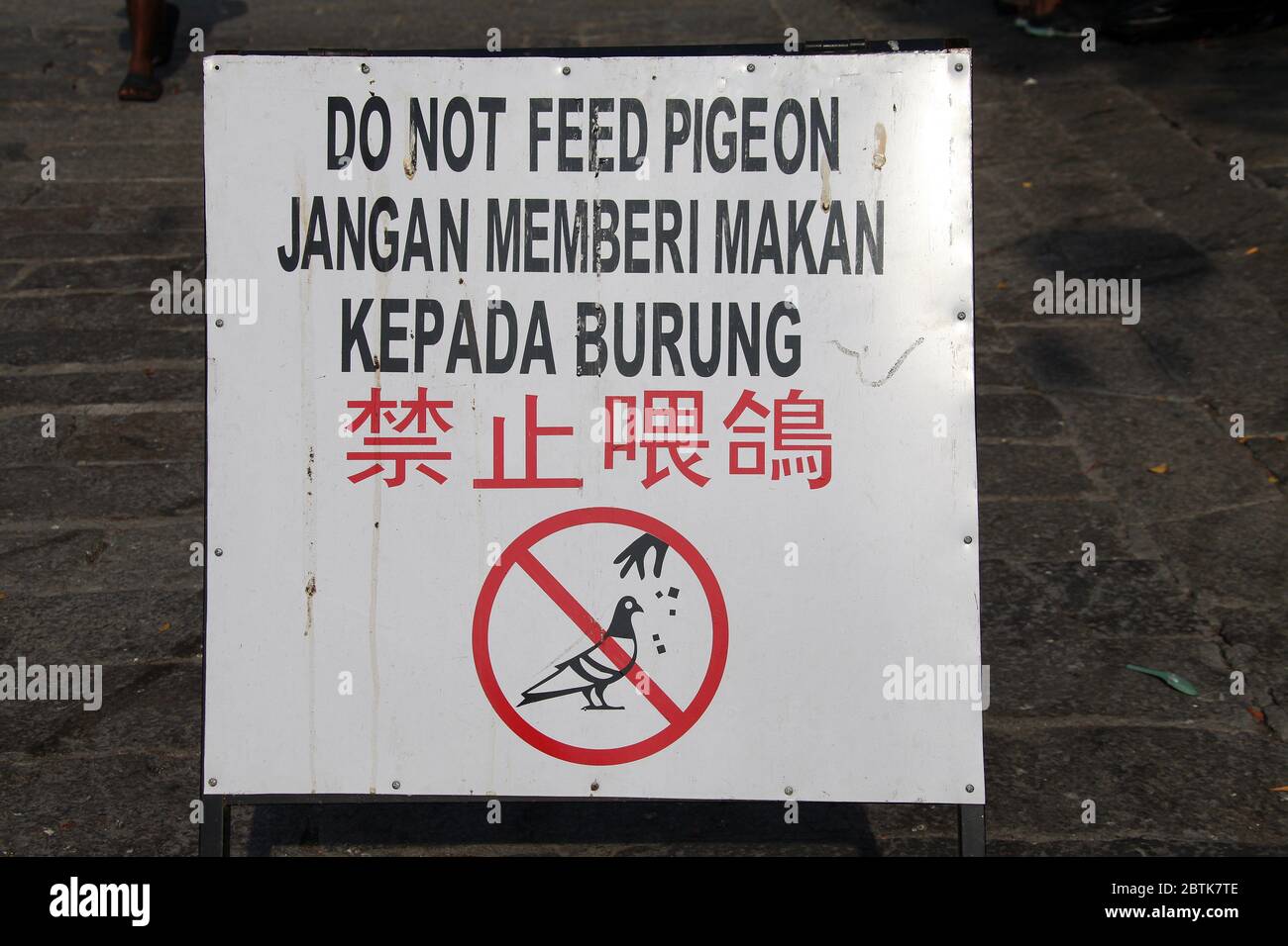 Do not feed pigeon sign in Malaysia Stock Photo