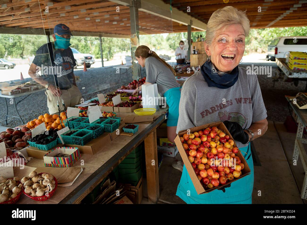 Carmichael, CA, USA. 26th May, 2020. Rosemarie Martell holds a box of cherries at the FarmerÃs Wife on Tuesday, May 26, 2020 in Carmichael during the coronavirus pandemic.Martell runs the Farmers Wife produce stand 7 days a week and has been open throughout the pandemic. Many of her customers feel safe shopping at the open air market. Credit: Paul Kitagaki Jr./ZUMA Wire/Alamy Live News Stock Photo