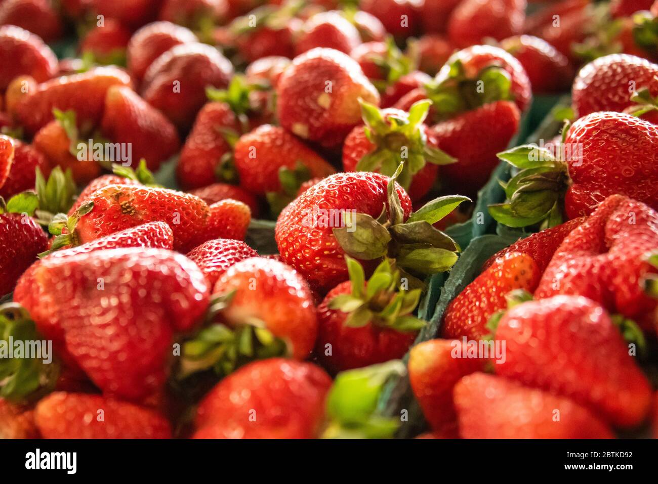 Fresh picked strawberries at a North Georgia farm roadside fruit and vegetable market. (USA) Stock Photo