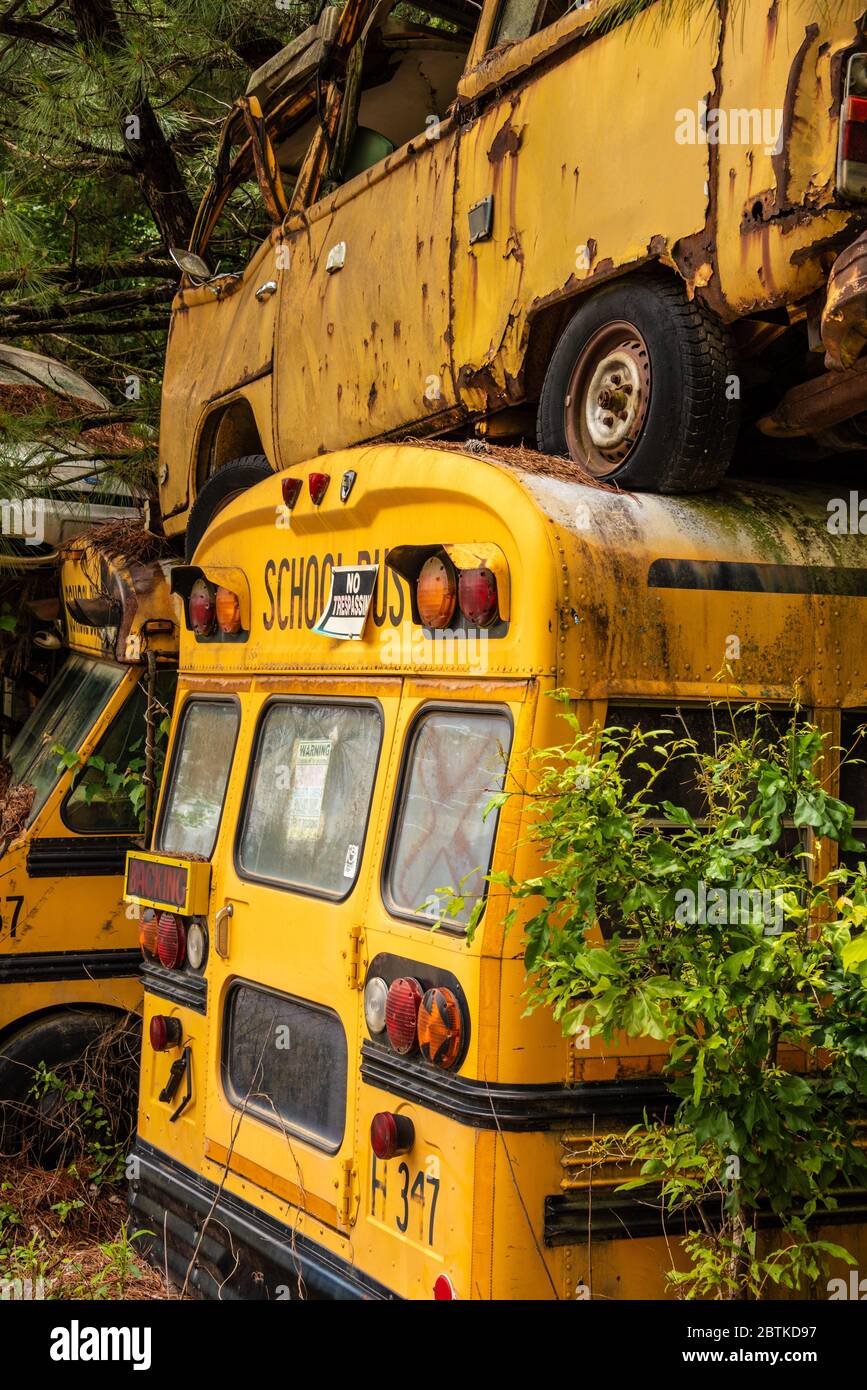 Awesome School Bus, credited to Google maps., PatrickRich