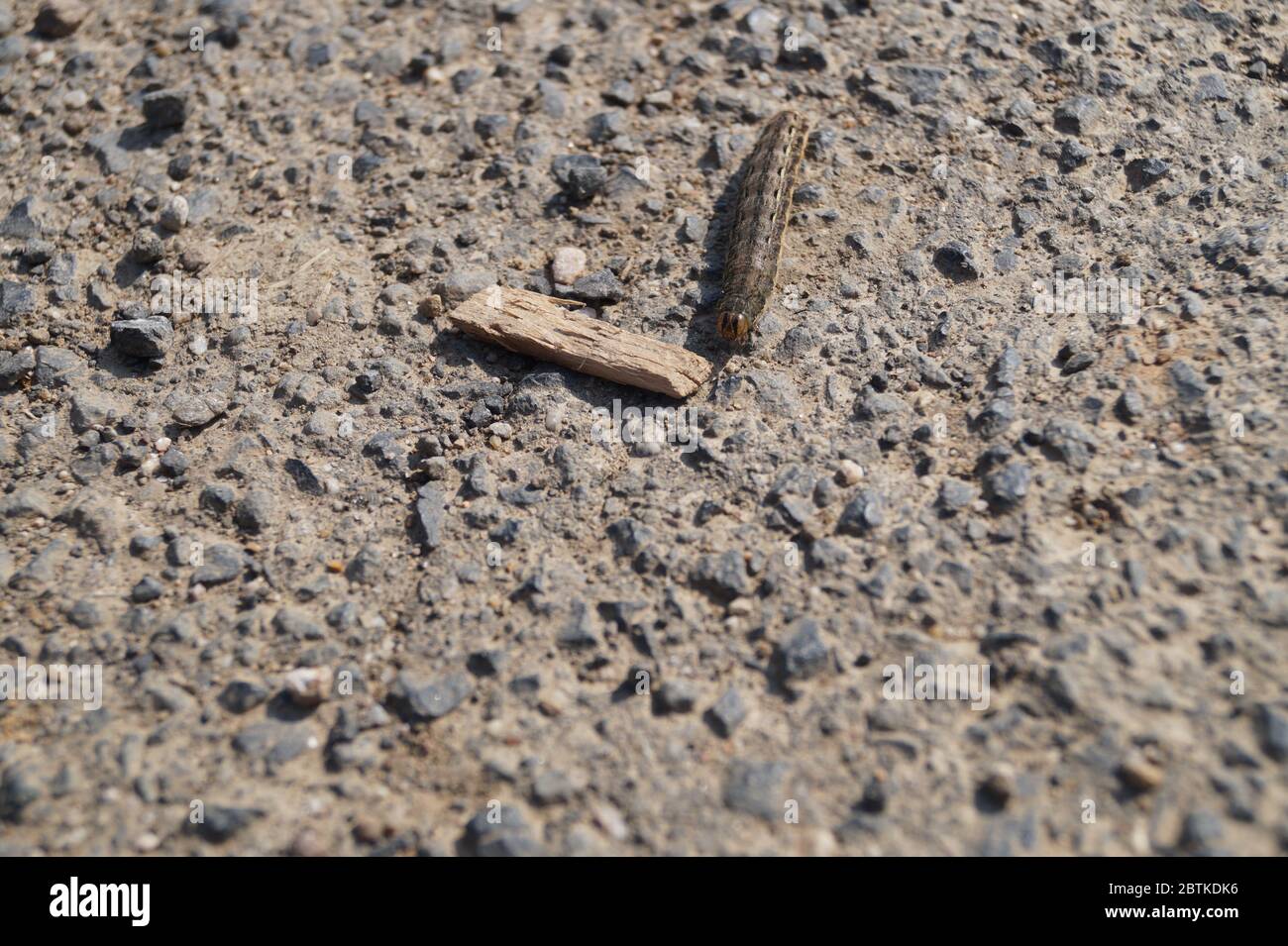 Kriechen High Resolution Stock Photography And Images Alamy