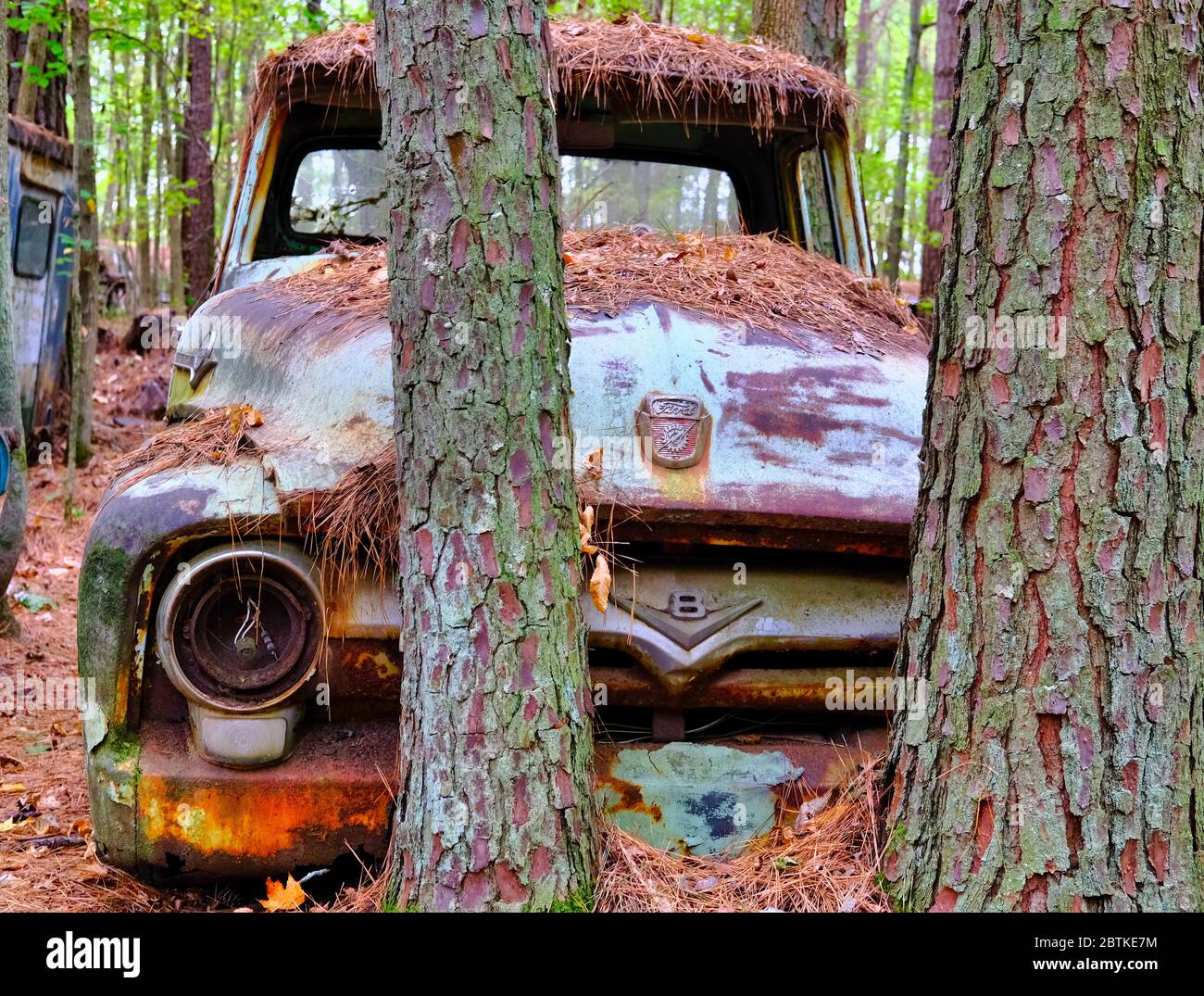 Northwest of Atlanta, there is a place called Old Car City