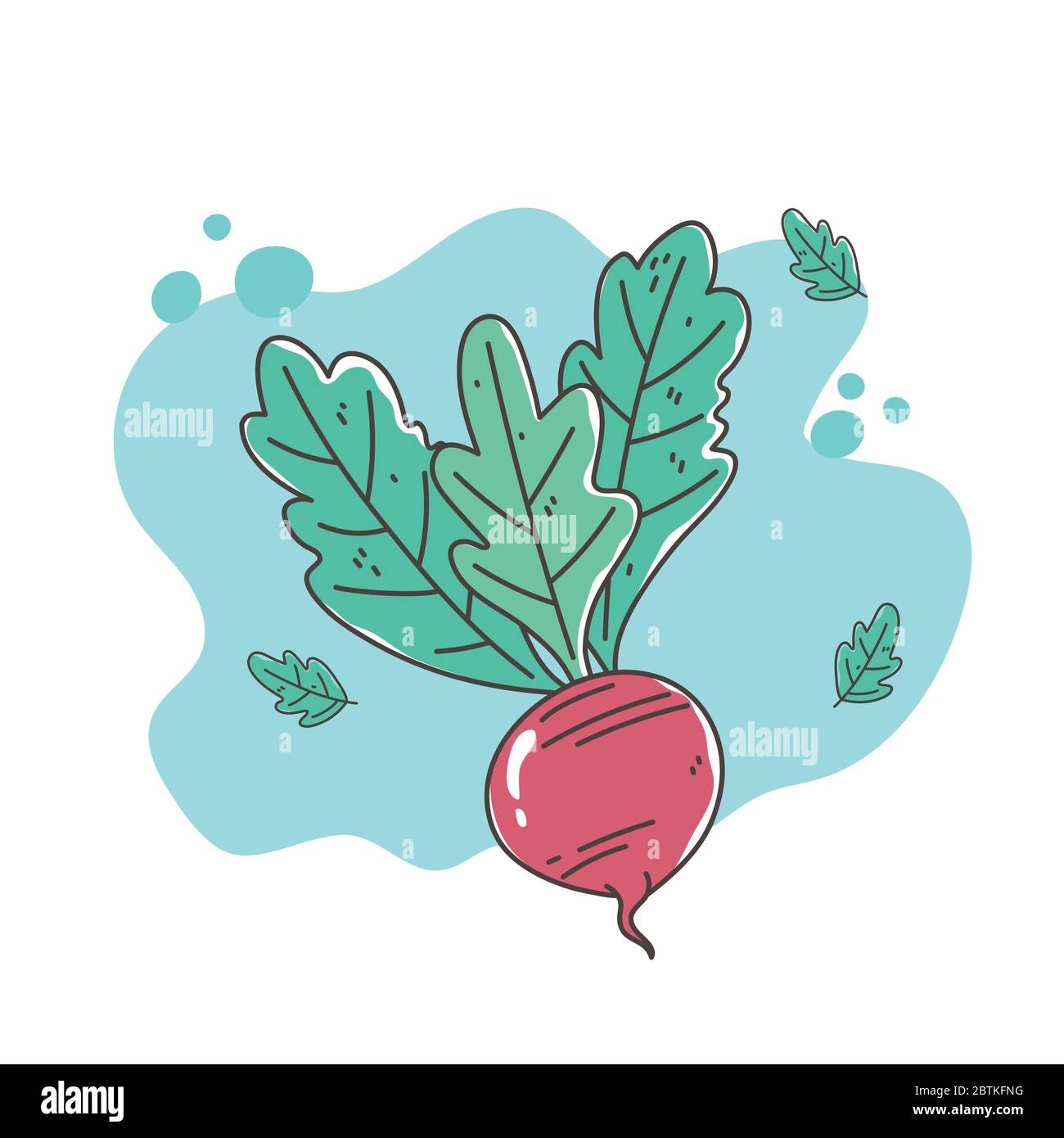 healthy food nutrition diet organic vegetable beet icon vector ...