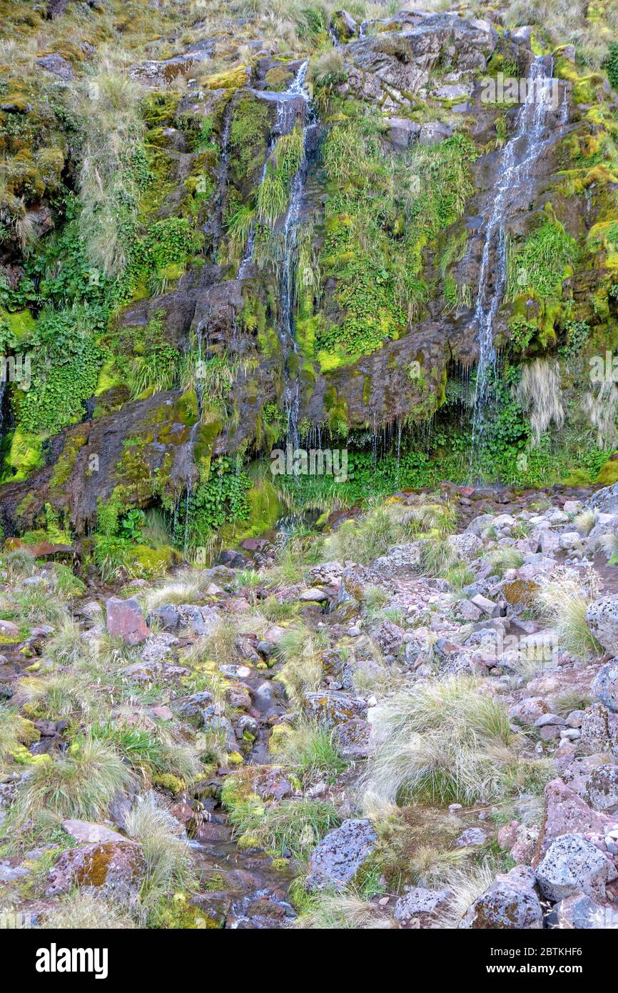 Soda Springs in Tongariro National Park Stock Photo