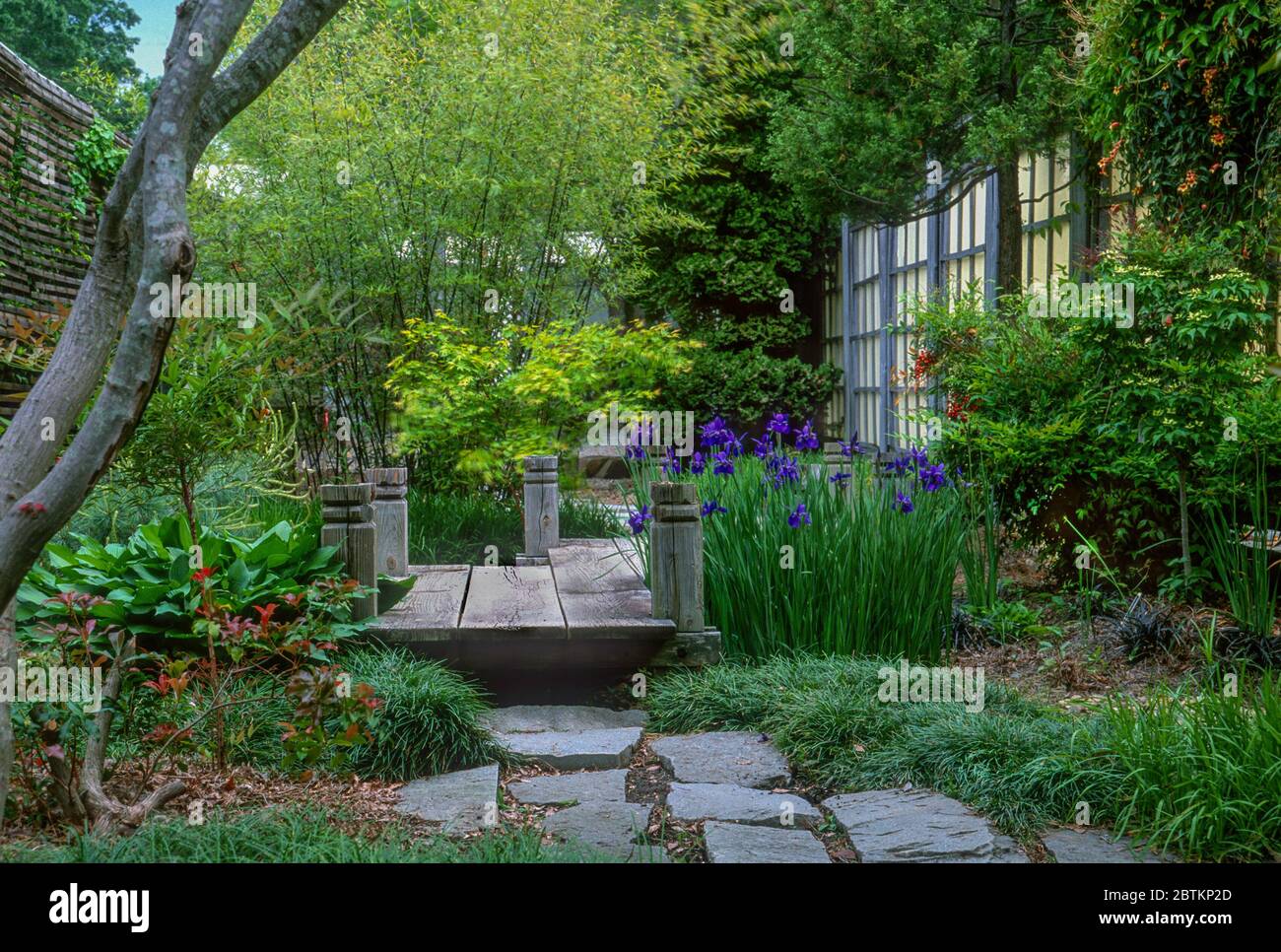 Japanese Garden  at the JC Raulston Arboretum, (since renovated) Stock Photo