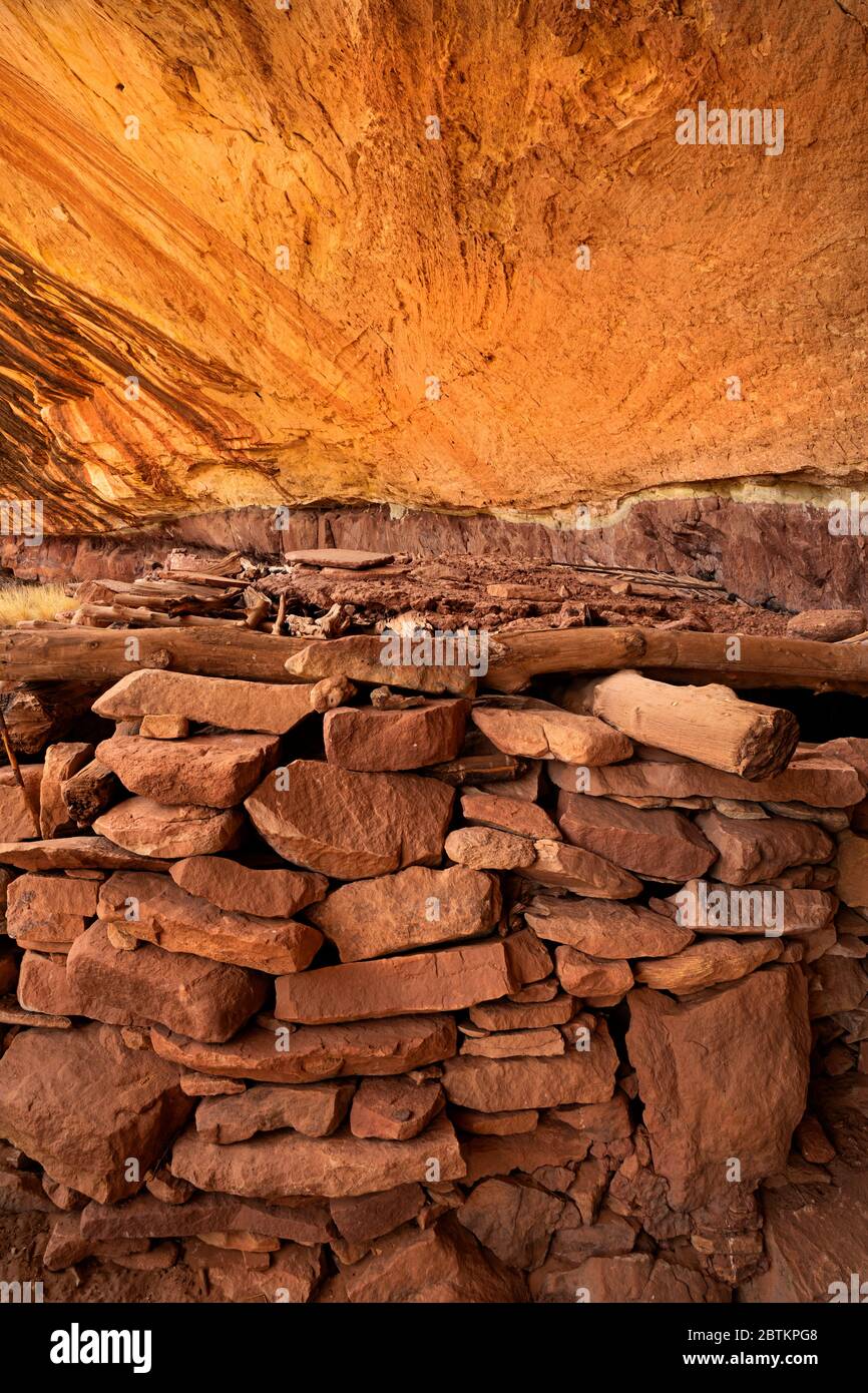 UT00658-00...UTAH - Low building with mud and rock roof at Horsecollor Ruin, still partially intacty, built by the Ancestral Puebloans over 700 years Stock Photo