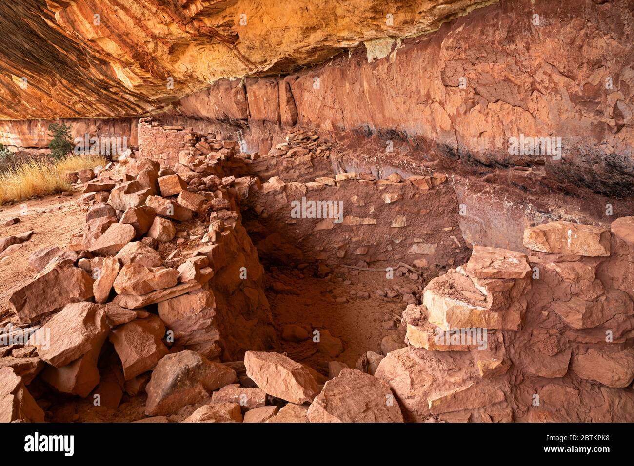 UT00661-00...UTAH - Small rooms and a kiva, built over 700 years ago at Horsecollar Ruin in Natural Bridges National Monument. Stock Photo