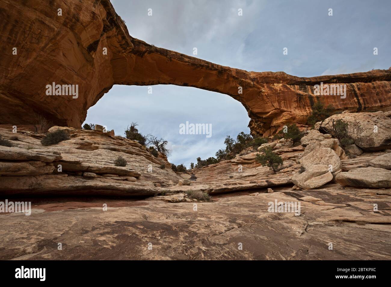 UT0067200...UTAH Owachomo Bridge in Natural Bridges National