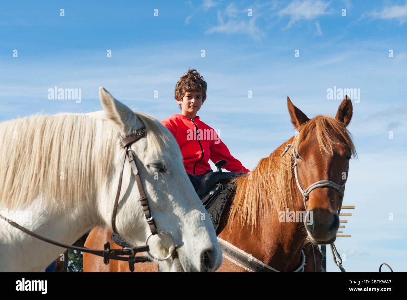 Young boy sitting on horse from low point of view. Stock Photo