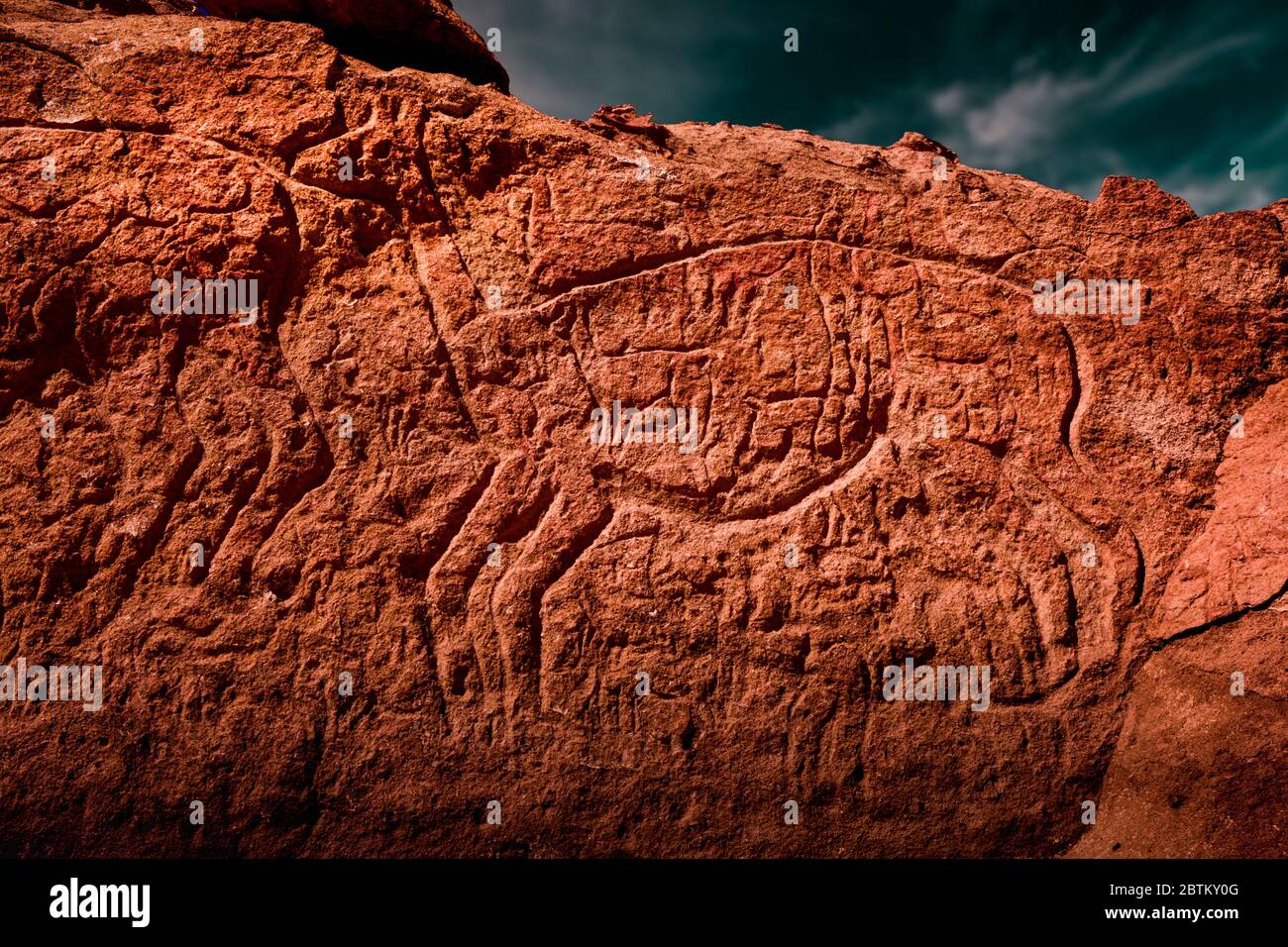 Petroglyphs of the archaeological site of Yerbas Buenas, Rio Grande, San Pedro de Atacama, Antofagasta Region, Chile Stock Photo