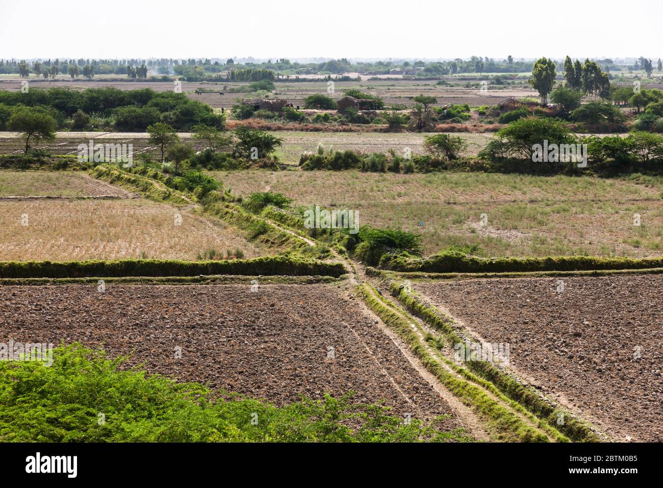 Agricultural fields at Makli, lower basin of Indus river, suburb of Karachi, Sindh Province, Pakistan, South Asia, Asia Stock Photo