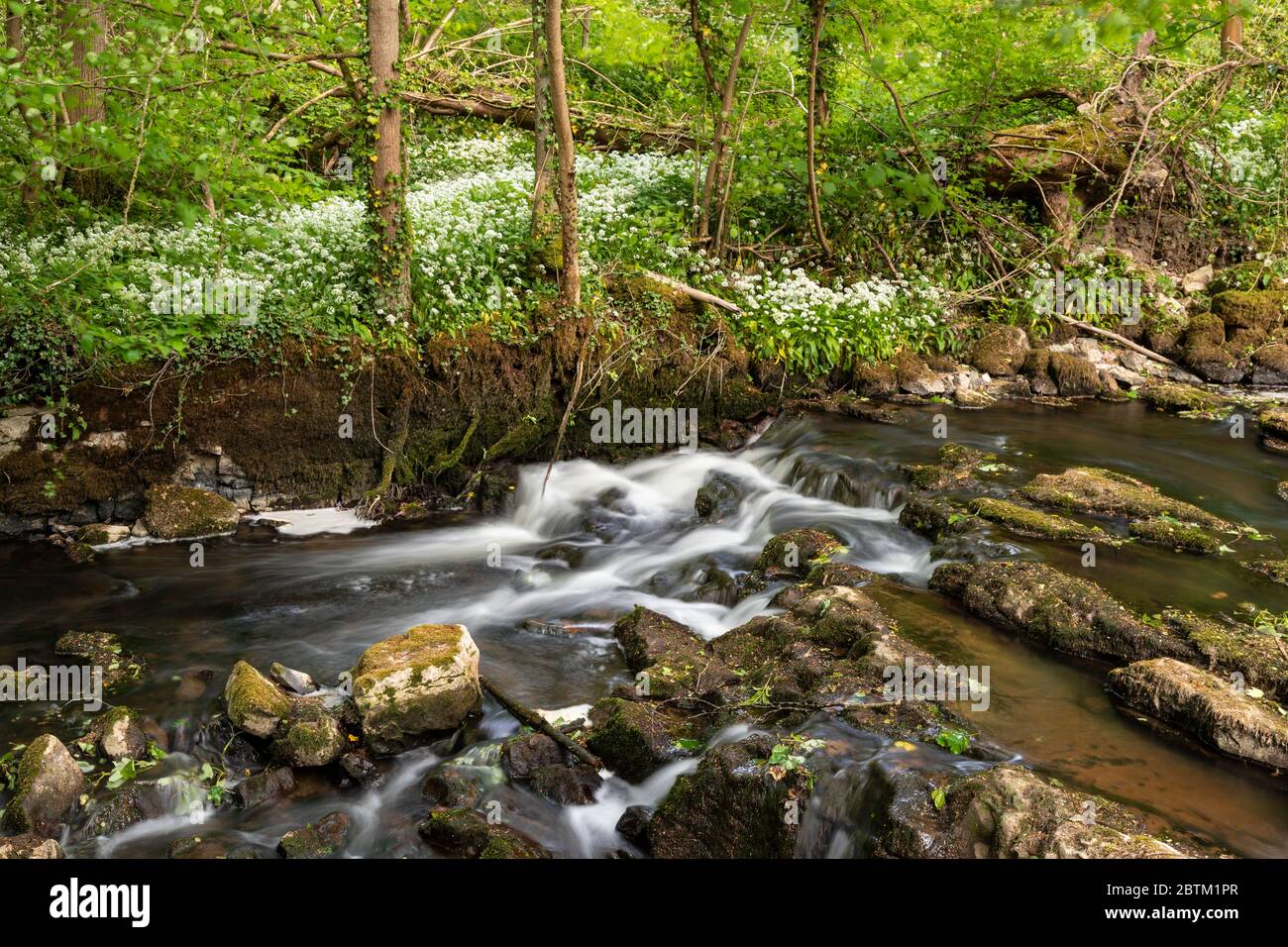 Small waterfall on the River Alyn at Maeshafn, North wales Stock Photo