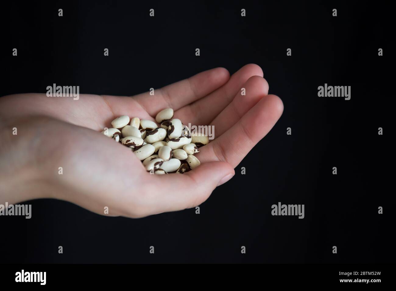 Woman's hand holding yellow wax bean garden seeds with black background and copy space Stock Photo