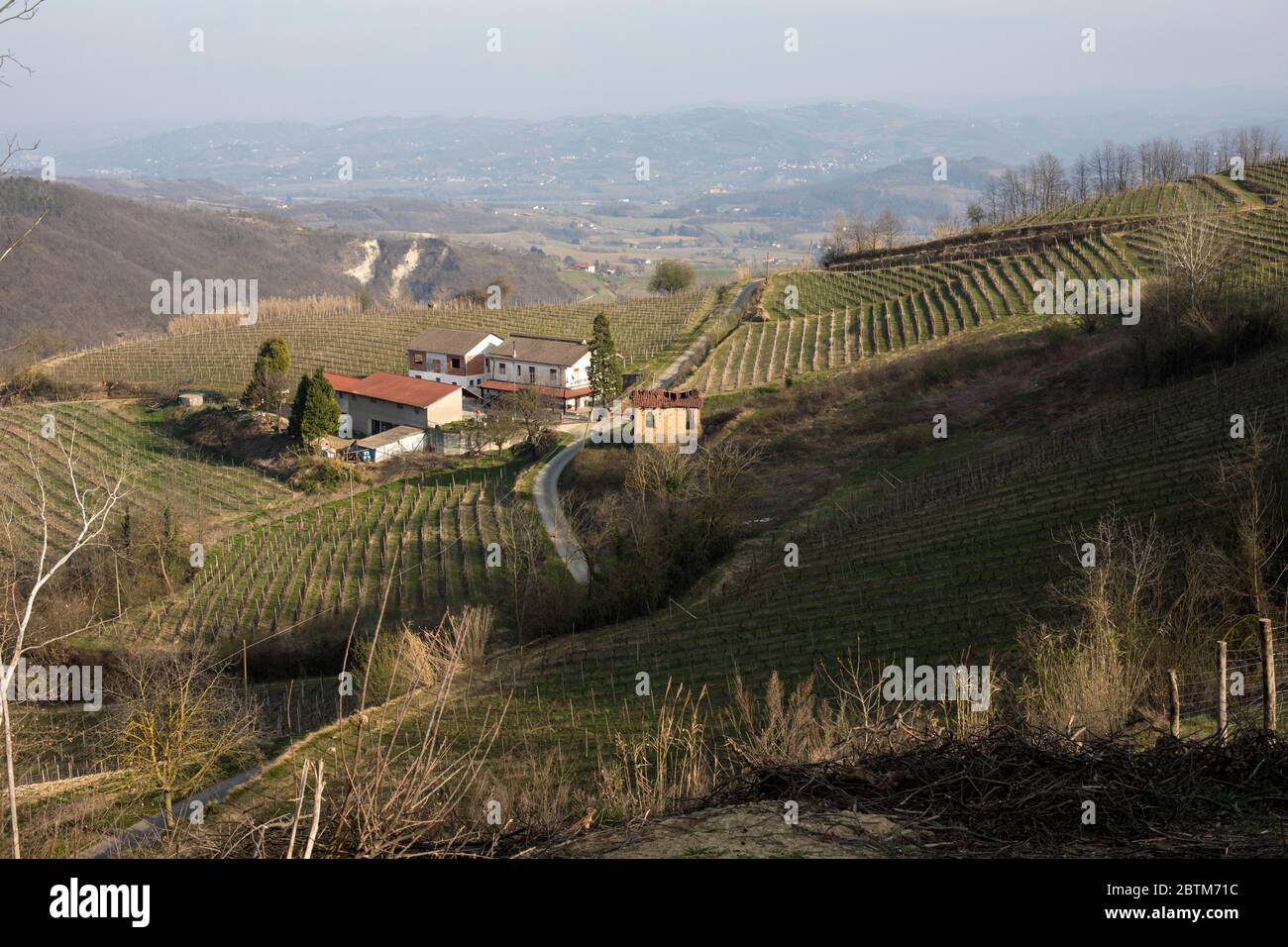 Farmhouse with vineyards near Sessame, Bormida valley, Piedmont, Italy Stock Photo