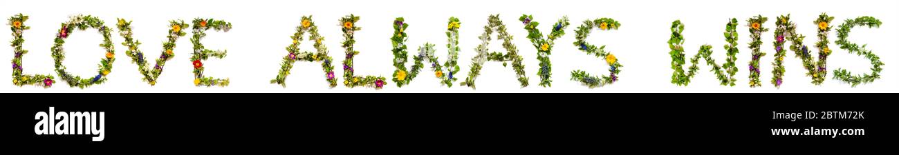 Flower And Blossom Letter Building Word Love Always Wins Stock Photo