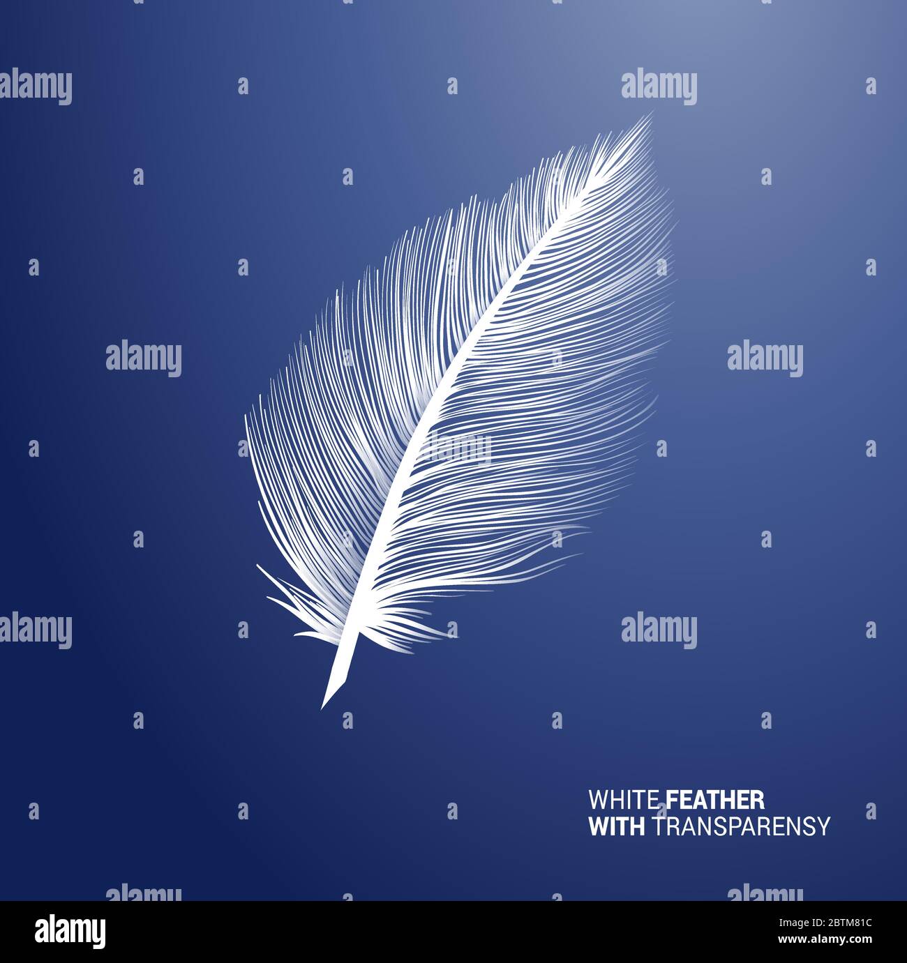 Fluffy white bird and feathers hi-res stock photography and images - Alamy