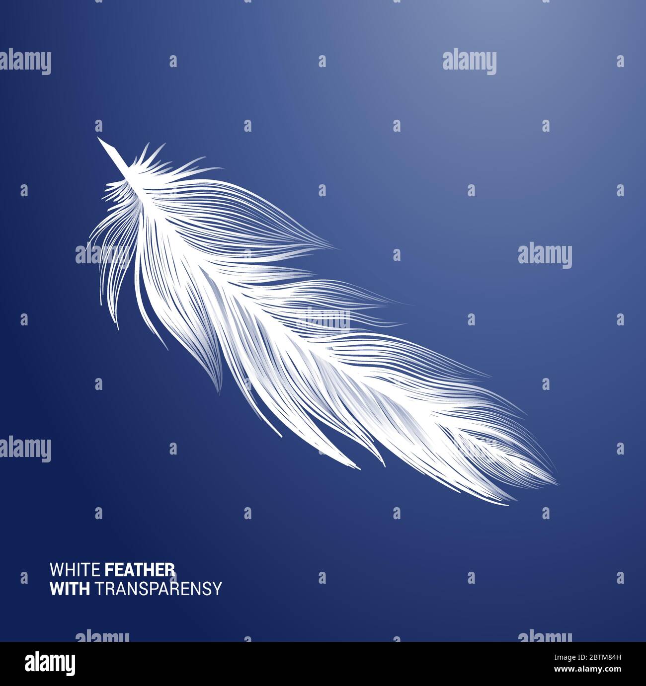 Realistic white soft goose feathers fluffy Vector Image