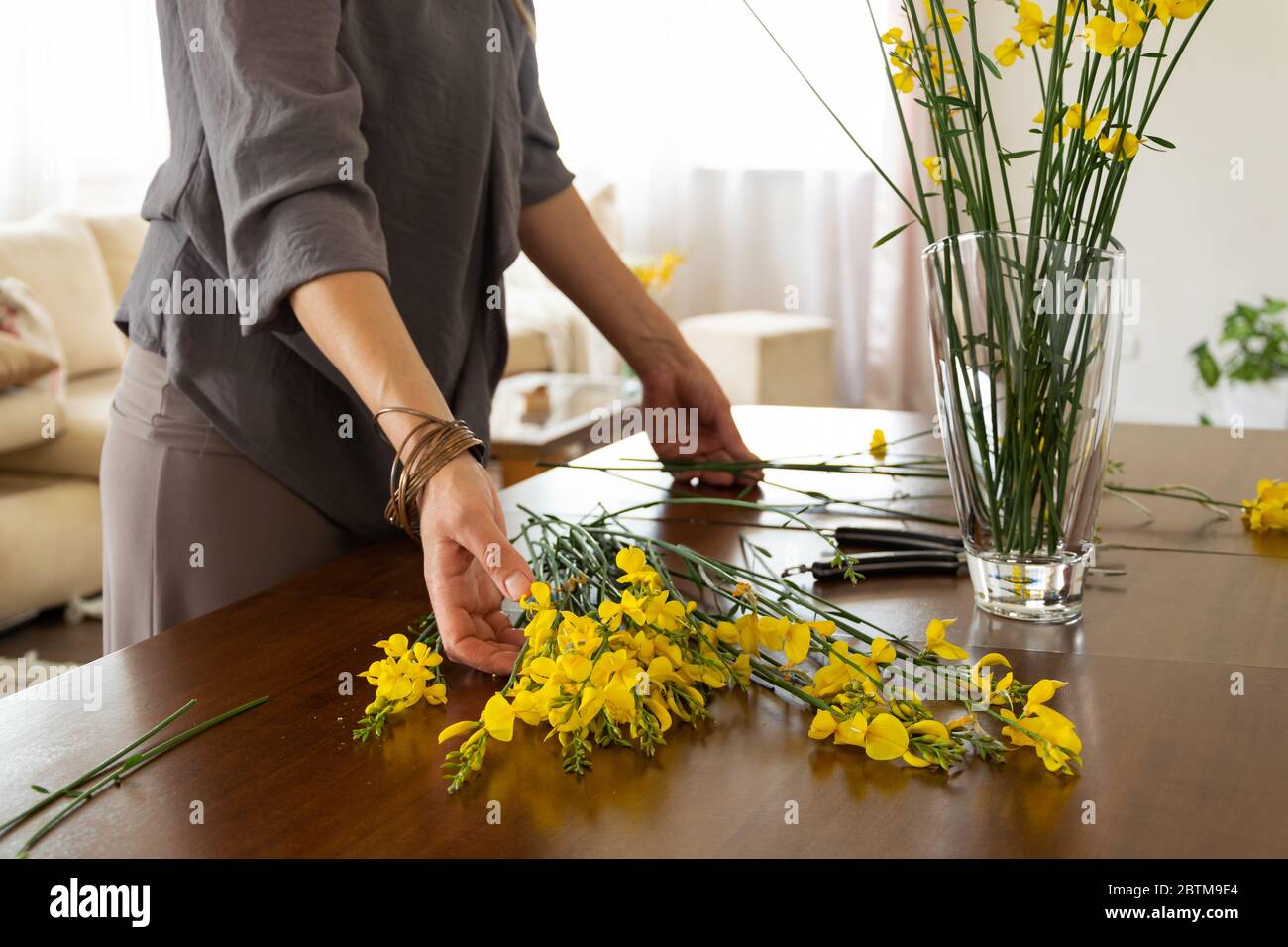 Crop view of woman arranging yellow blossom gorse at home Stock Photo