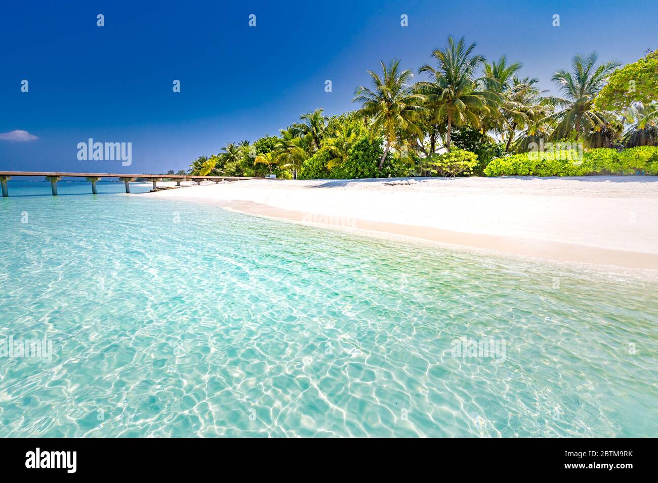 Beautiful beach with palm trees and moody sky. Summer nature vacation travel holiday background. Maldives paradise beach. Luxury travel landscape Stock Photo