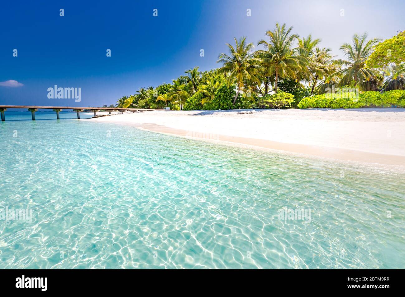 Beautiful beach with palm trees and moody sky. Summer nature vacation travel holiday background. Maldives paradise beach. Luxury travel landscape Stock Photo